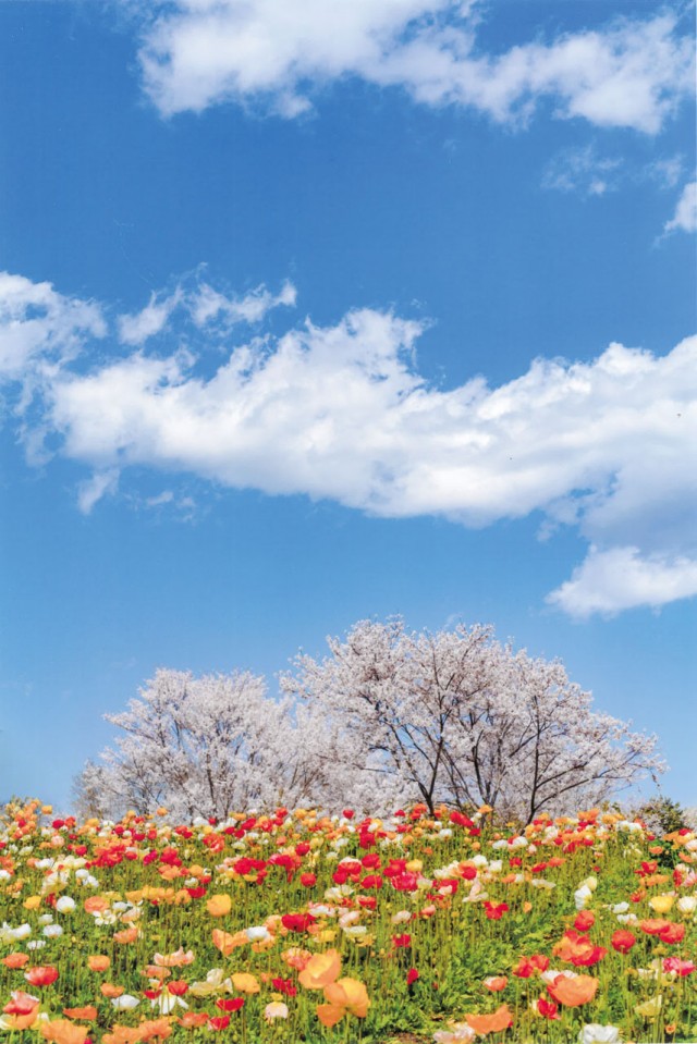 令和6年度推薦作品