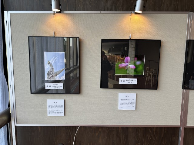 万博記念公園写真コンテスト