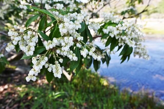 asebi_230329_01