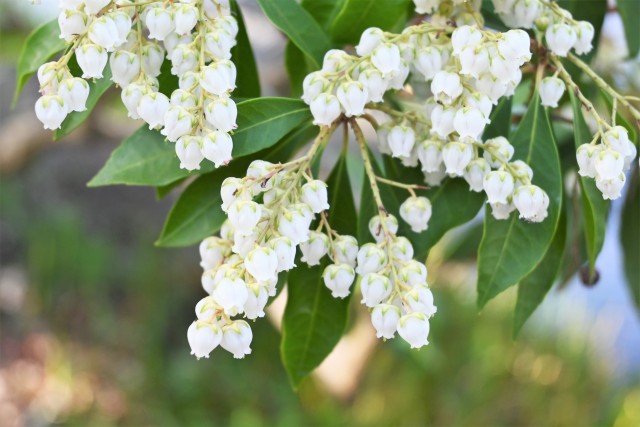 asebi_230329_02