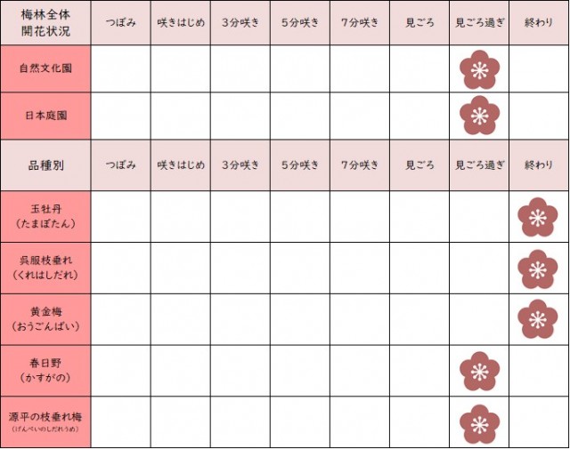 ウメ 22年 更新終了しました 万博記念公園