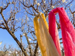 ⑩京都川端商店