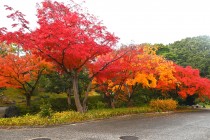 bairin_231128_01