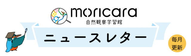 自然観察学習館 Moricara 万博記念公園