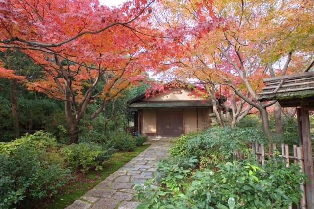 万博記念公園紅葉スポット 万博記念公園