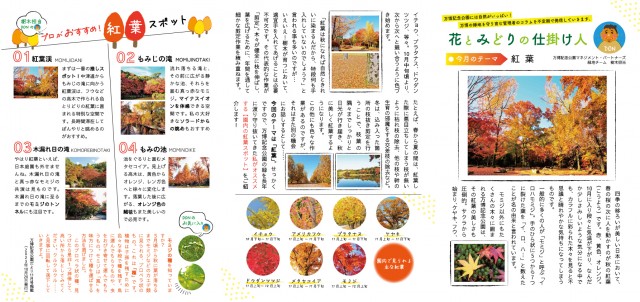 コラム11月号_紅葉