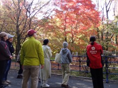 moricaraミニガイド