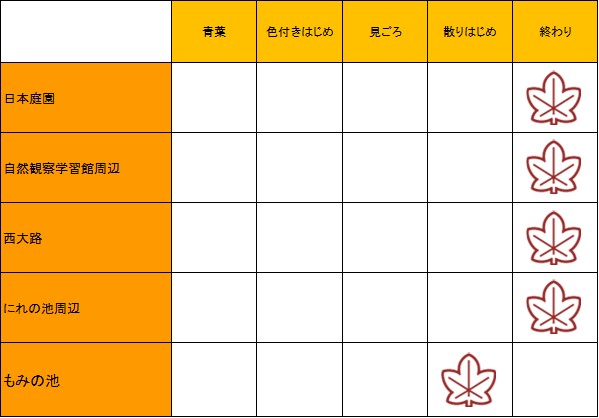紅葉情報:2022年更新終了 | 万博記念公園
