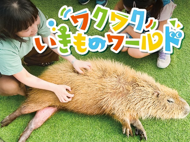 ワクワクいきものワールド