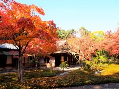汎庵