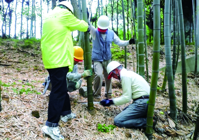 竹林保全活動ボランティア募集