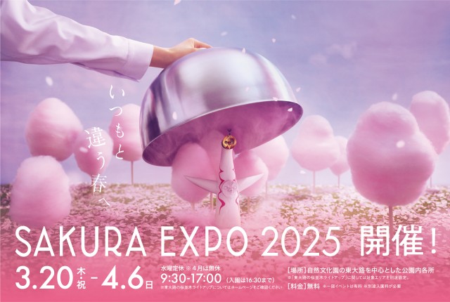 2025年】大阪・万博記念公園で開催予定の野外音楽フェス＆ライブ