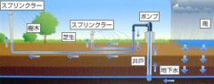 地下水から散水に利用