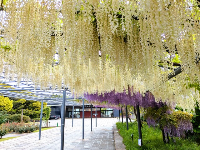 fuji_260427_03