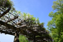 fuji_hasuike_250501_02