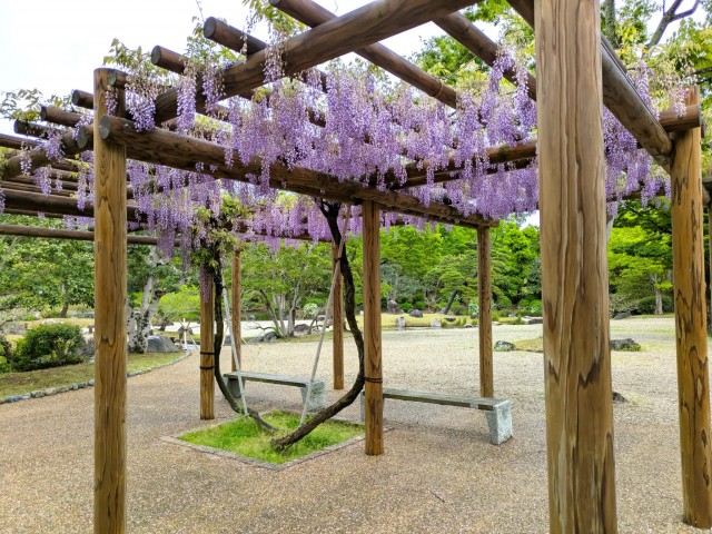 fuji_suhama_260427_01