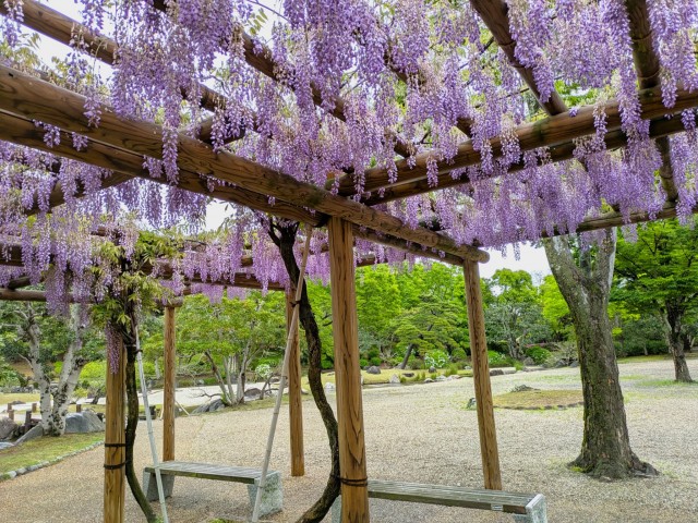 fuji_suhama_260427_02