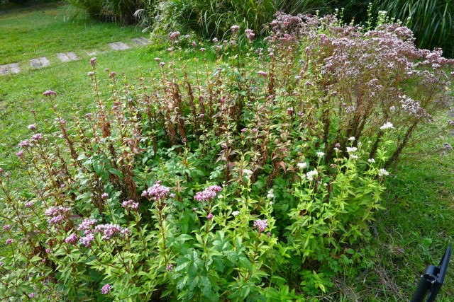 fujibakama_251029_03