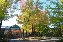 gakusyukan_231101_01