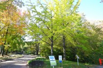 gakusyukan_231101_02