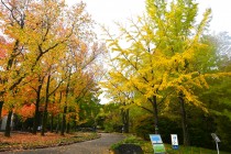 gakusyukan_231110_01