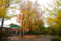 gakusyukan_231110_02