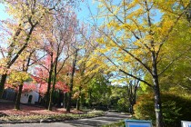 gakusyukan_231116_01