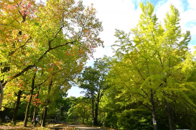 gakusyukan_251029_01