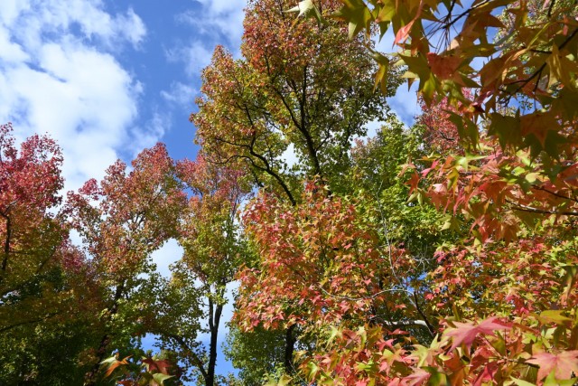 gakusyukan_251029_02