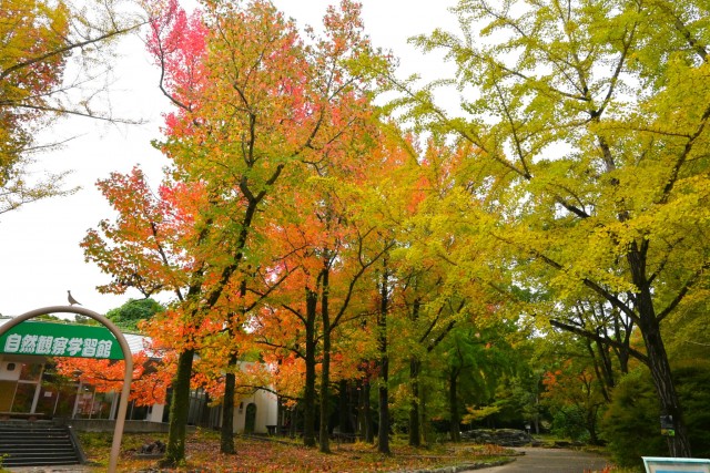 gakusyukan_251106_01