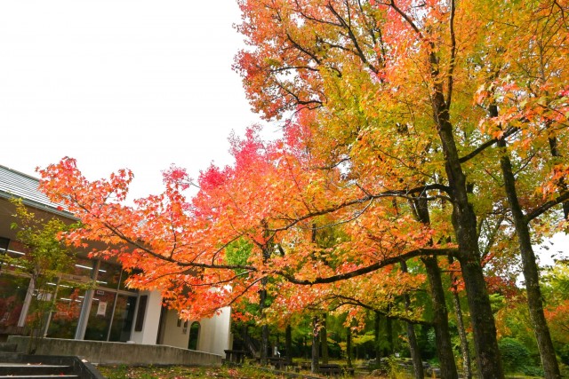 gakusyukan_251106_02