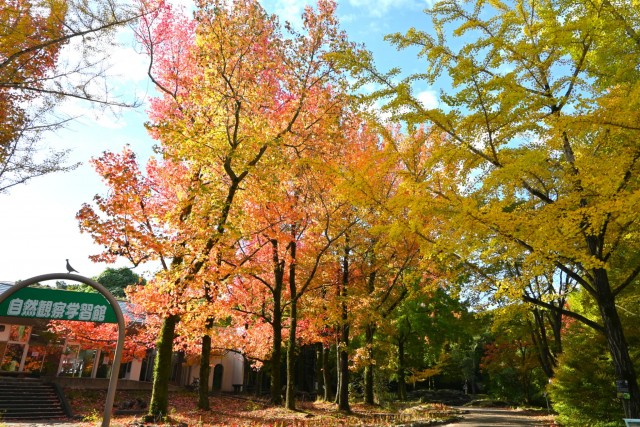 gakusyukan_251111_02