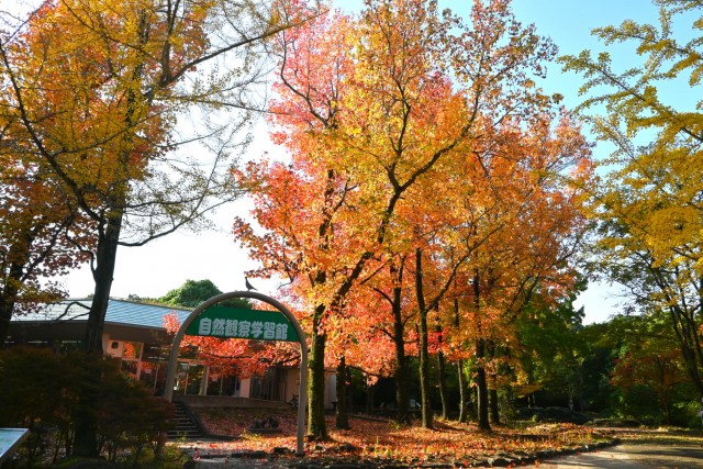 gakusyukan_251114_02