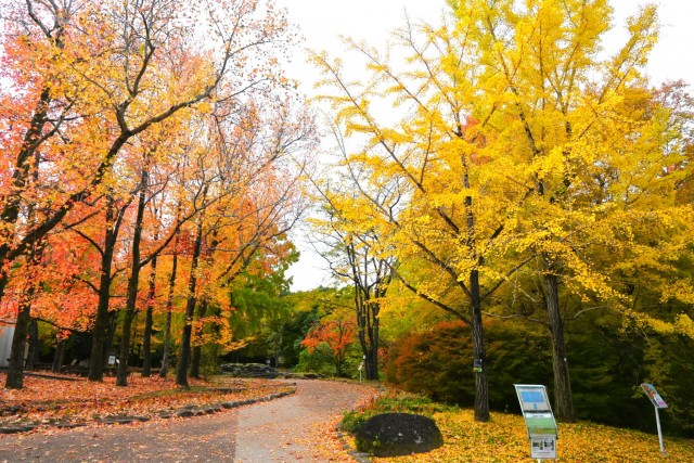 gakusyukan_251119_01