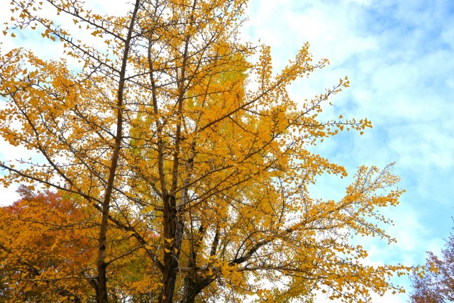 gakusyukan_251119_02