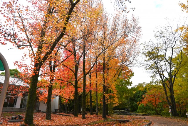 gakusyukan_251119_04