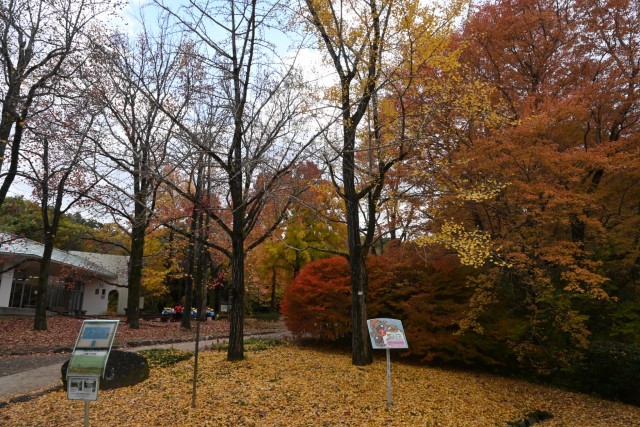 gakusyukan_251128_01