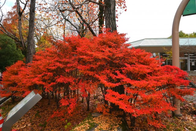 gakusyukan_251128_02