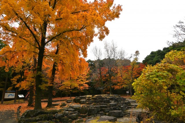 gakusyukan_251203_01