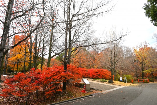 gakusyukan_251203_02