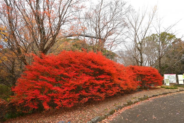 gakusyukan_251203_03