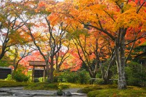 hanan_231123_03