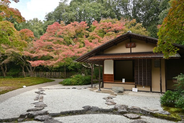 hananbanrian_251106_01