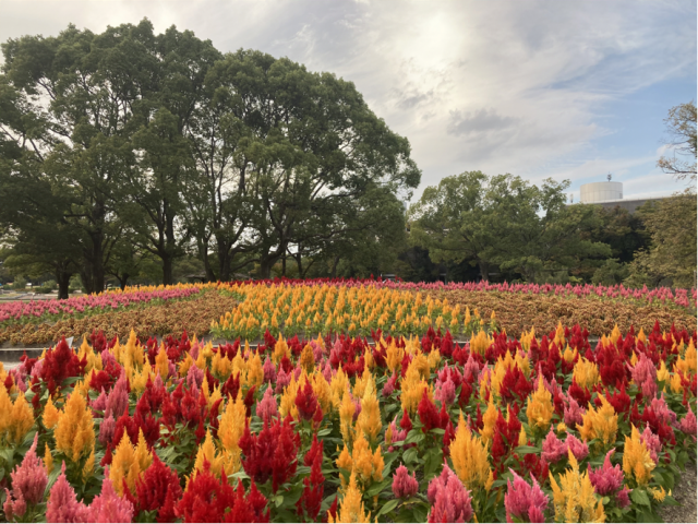 hananojyuutan_photospot_2020