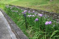hanasyobu_240617_02