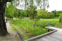 hanasyobu_240617_03