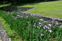 hanasyobu_25604_05