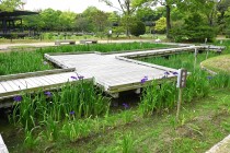 hanasyobu_250521_02