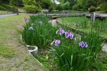 hanasyobu_250521_03