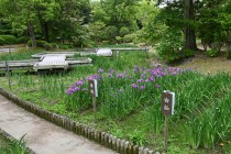 hanasyobu_250521_05